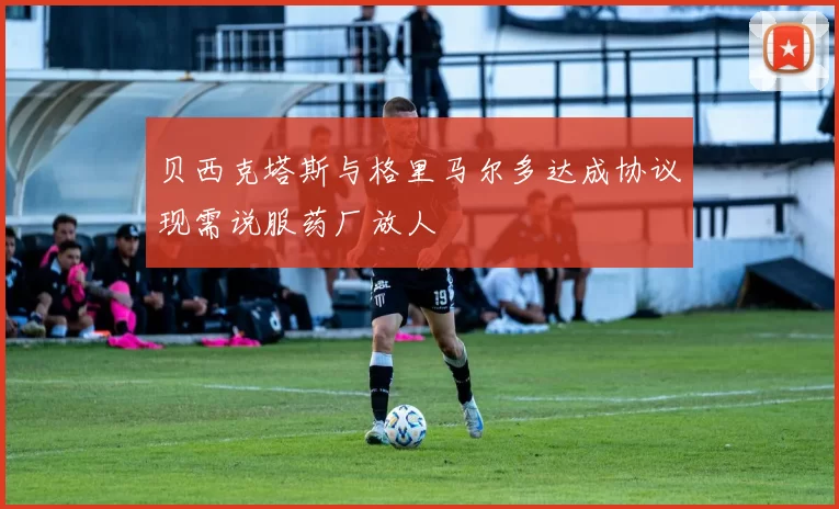 贝西克塔斯与格里马尔多达成协议现需说服药厂放人